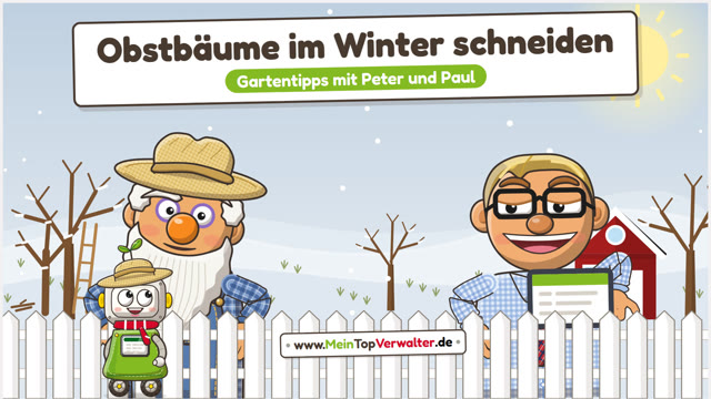 Peter und Paul: Obstbäume im Winter schneiden